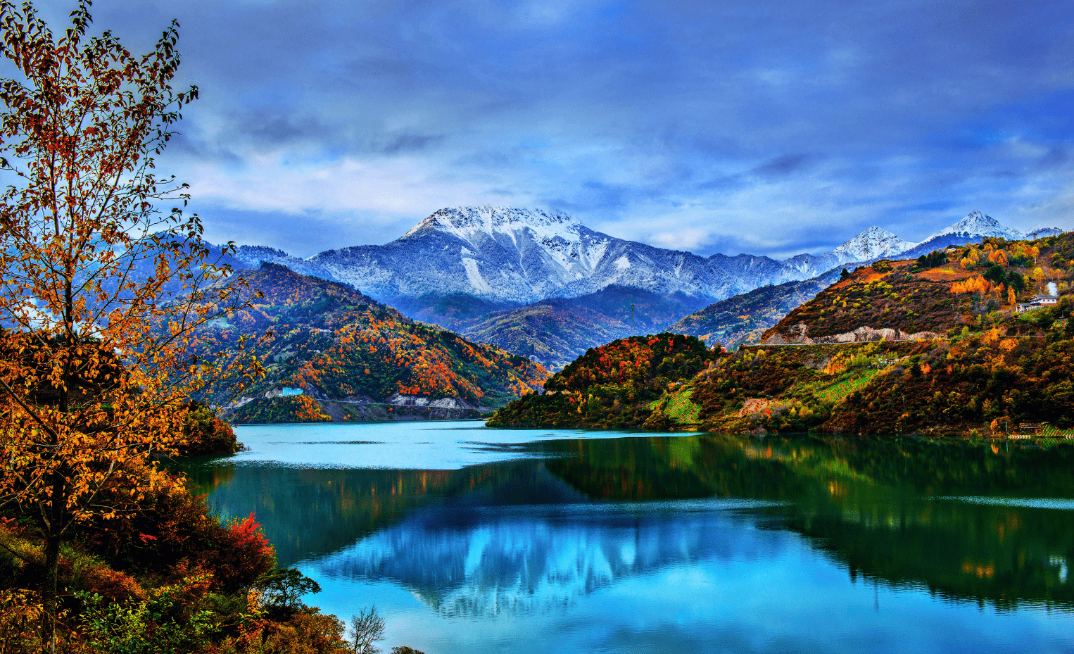 多彩金秋 四川这些文旅活动不容错过_媒体_澎湃新闻-the paper