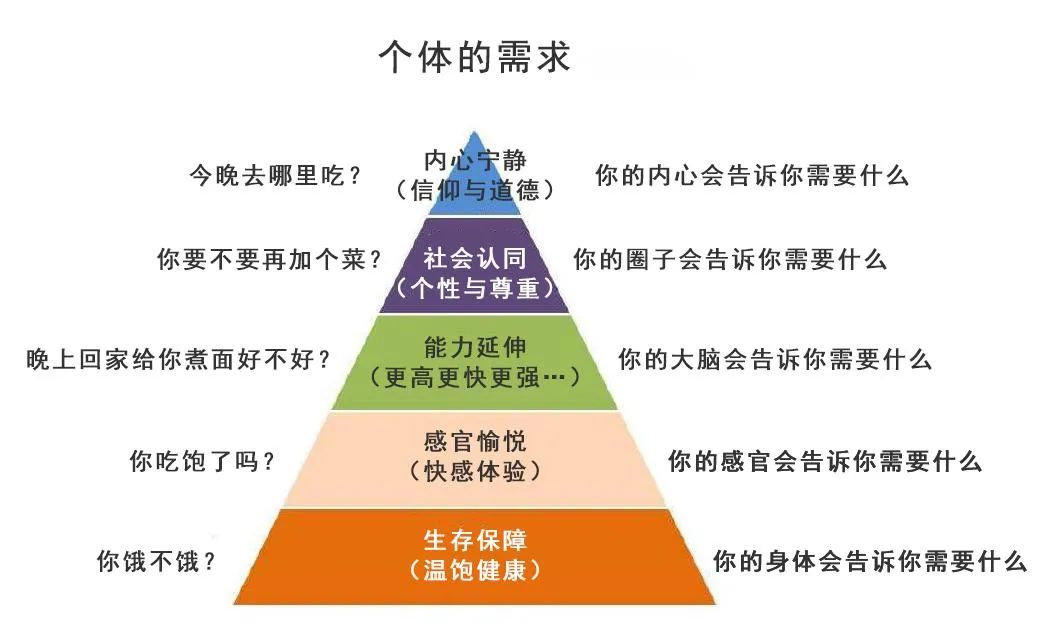 人难以实现自身所想,而模拟类型游戏则刚好填补了这部分的内心需求