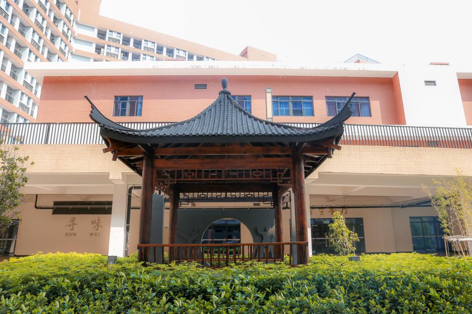 北师大加持顺德这所网红学校很劲爆