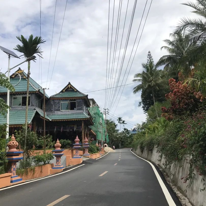 主打红色文化勐仑镇城子村走上乡村旅游发展路