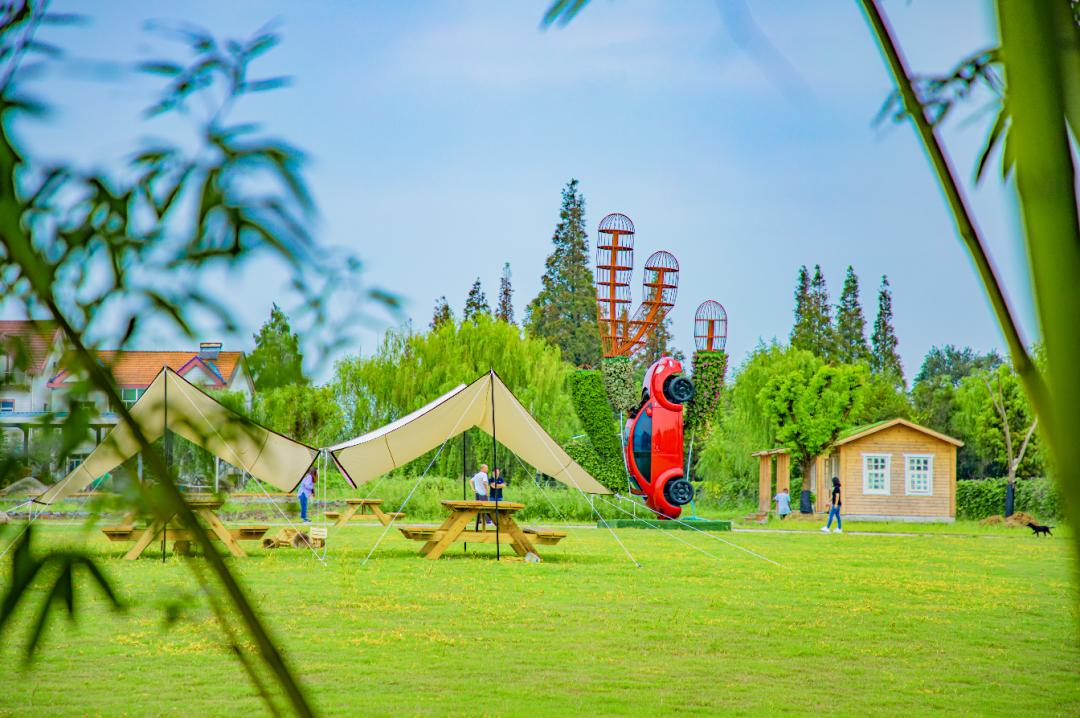 房车小木屋香草园金山新增的户外露营网红打卡点真香