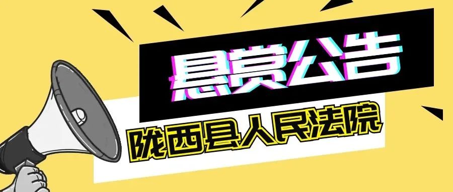 陇西县人民法院执行悬赏公告第十四期澎湃号·政务澎湃新闻 The Paper 1033