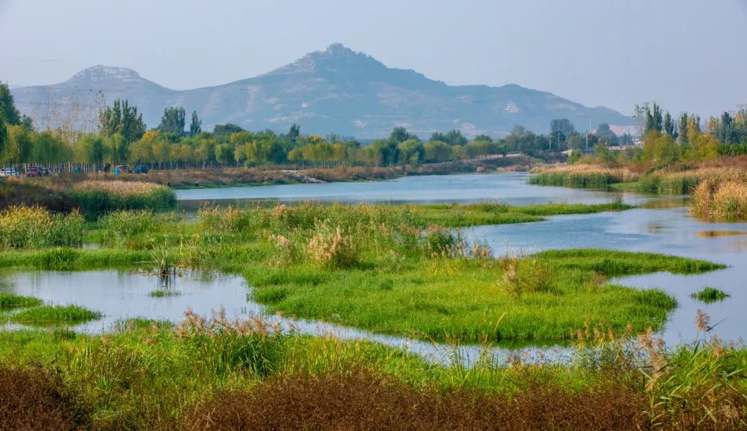 济南美里湖湿地公园图片