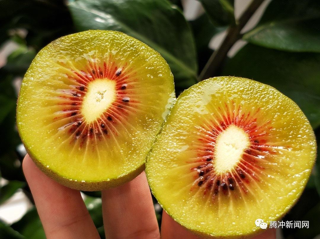 秋天的味道l新华乡红心猕猴桃软糯香甜的心上果