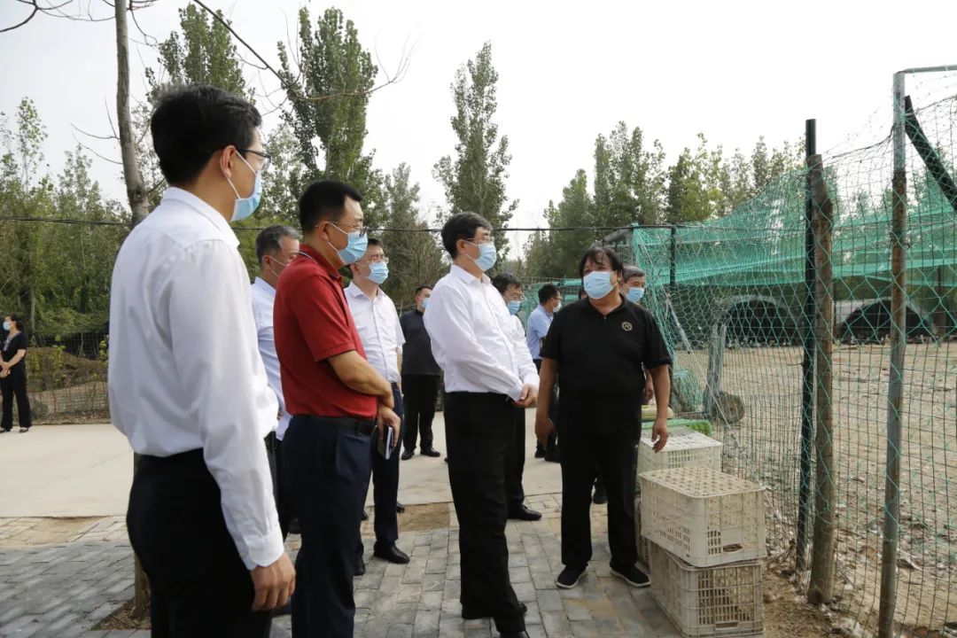 新华社副秘书长,人事局局长景如月到新河县调研