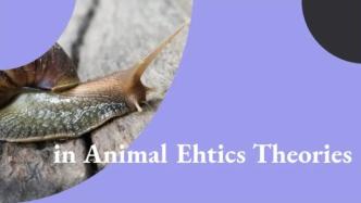 动物伦理，究竟是圣母心泛滥还是共情的多元化？