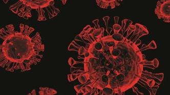东京大学研究表明：疫苗对Mu变异病毒的效果几乎为零