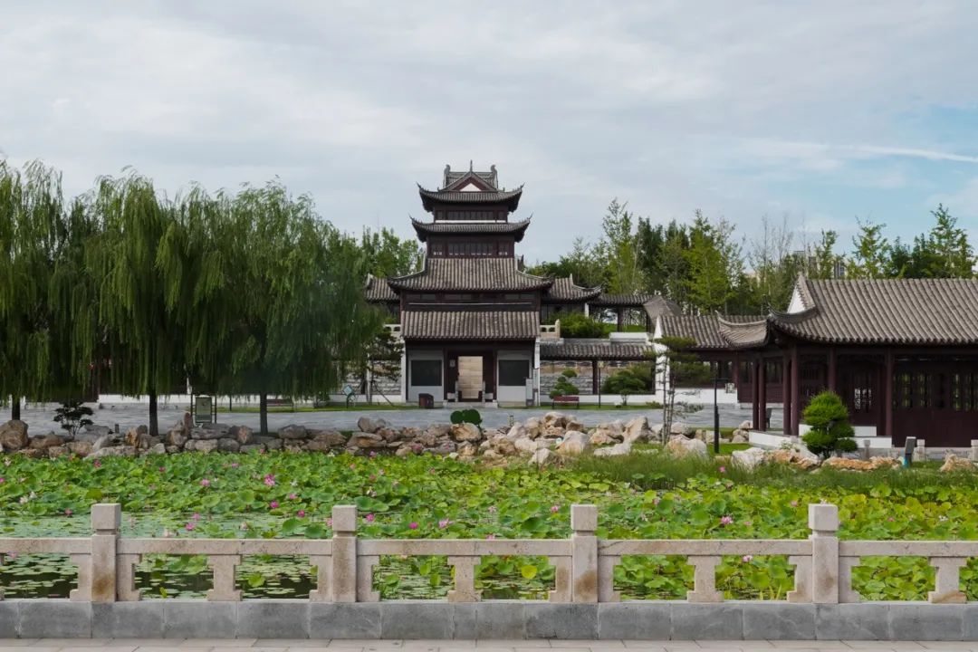 【冀在心上的小幸福】大美藁城·靓丽一景|兴华公园篇