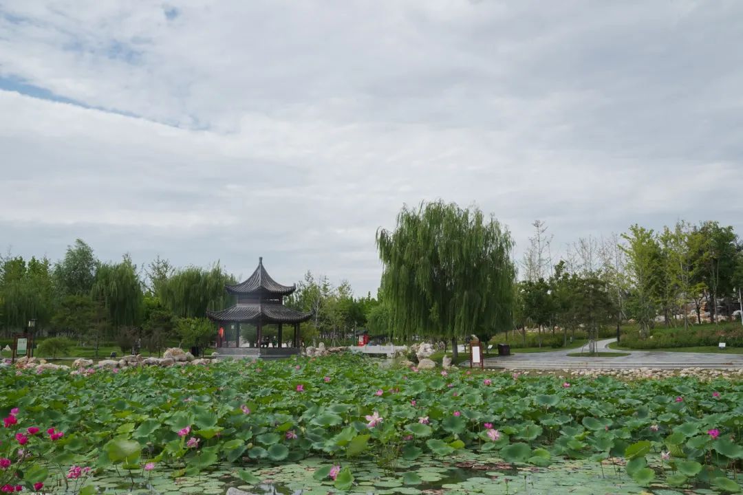 藁城风景图片