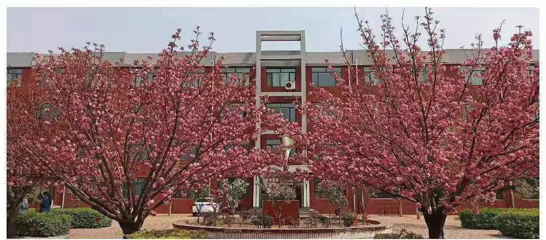 创建文明校园唐山二十三中学这样做