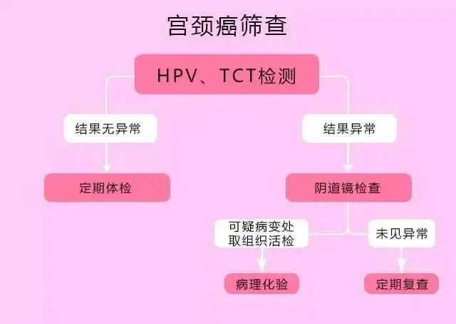 宫颈高级别病变