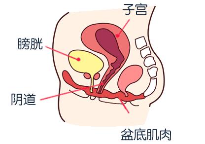 健康百科產後需要做盆底肌康復嗎