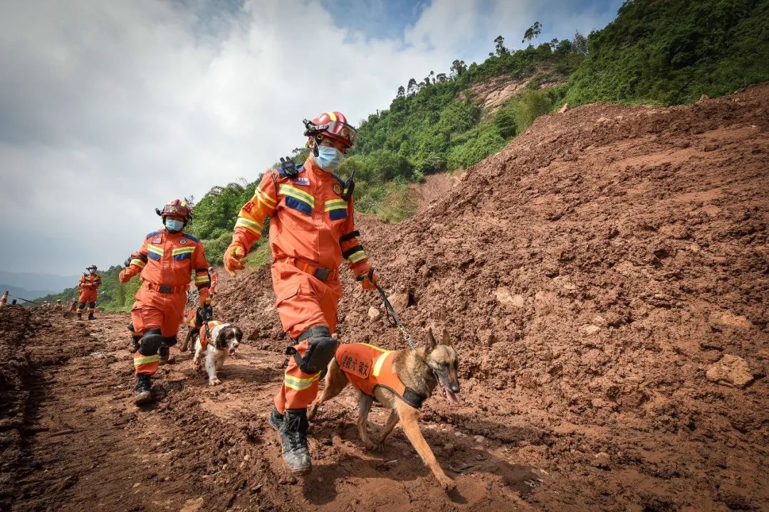 神犬出击看搜救犬与训导员赛场秀默契