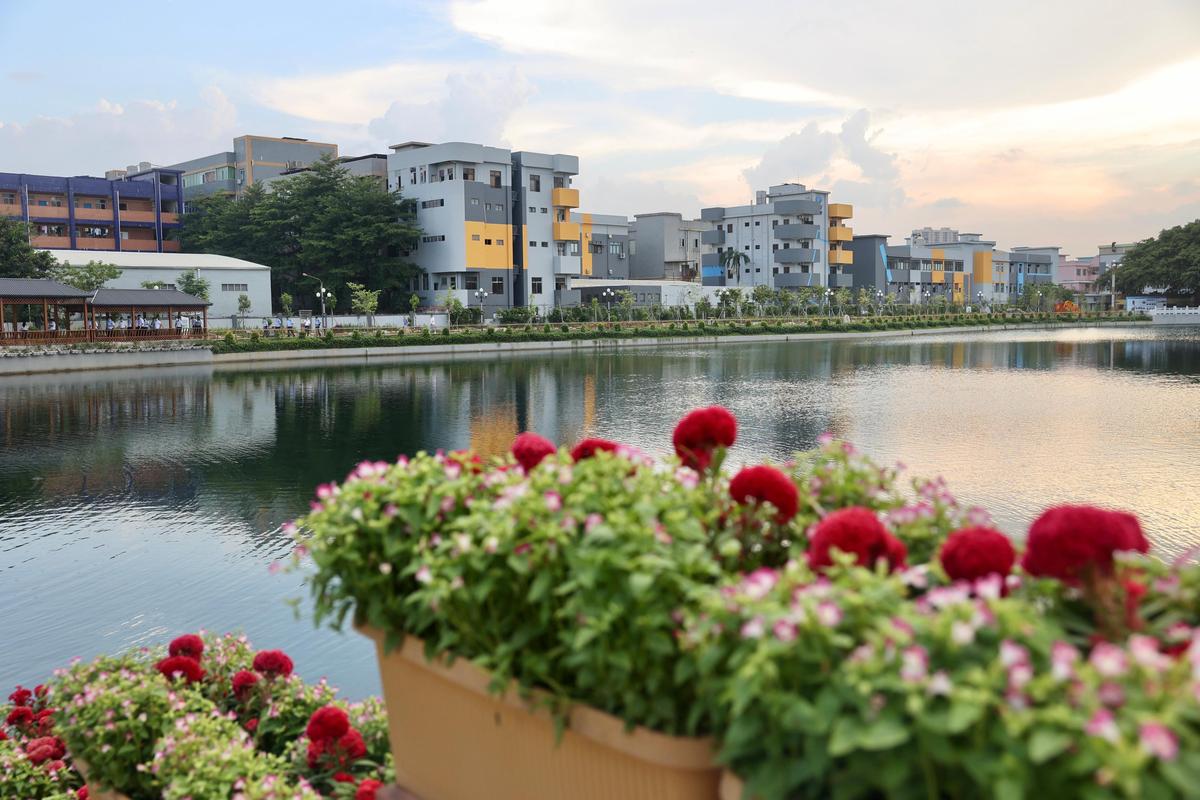 文明东莞常态长效创建让文明之花常开