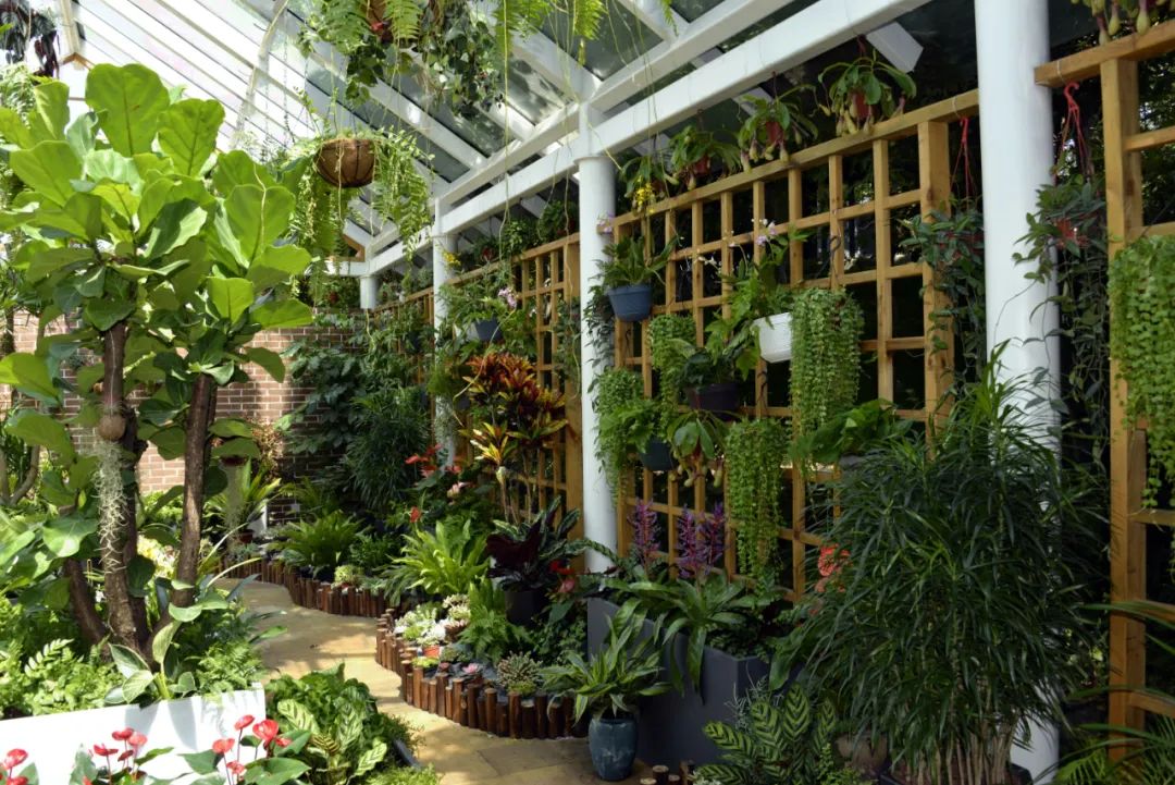 成都这里,有一座绝美花房
