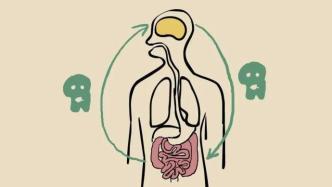 肠子能决定脑子？有趣的“肠-脑轴”了解一下