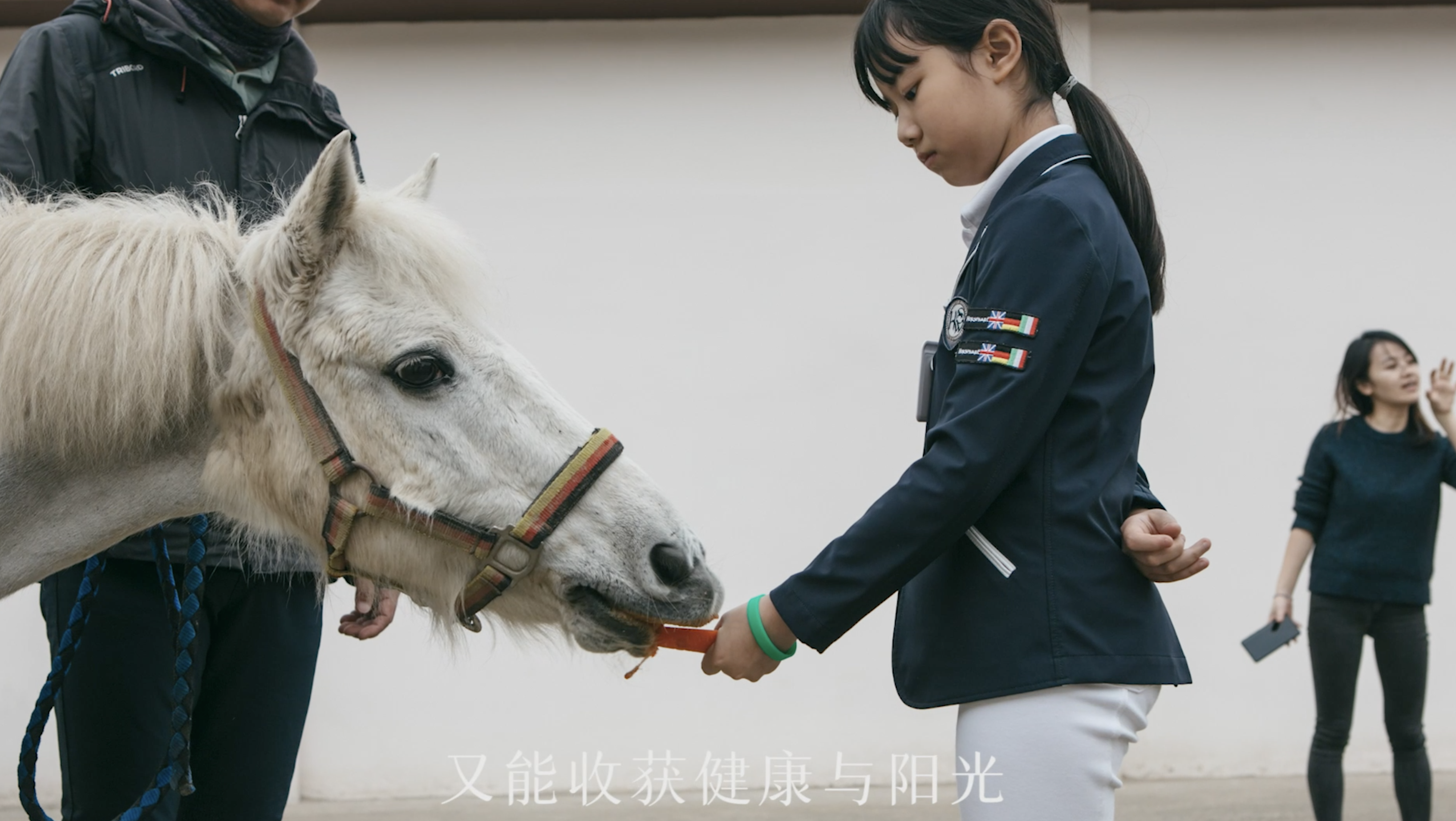 为什么富豪的孩子爱学马术，贵族还要代代学？