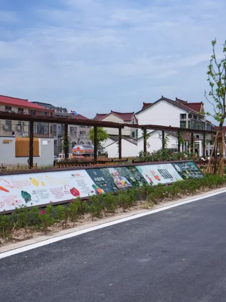 5个村全部通过浦东新一批市级乡村振兴示范村名单出炉