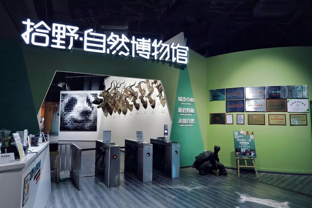 成华区拾野自然博物馆成都市首批科学美空间科科继续带大家探秘今天