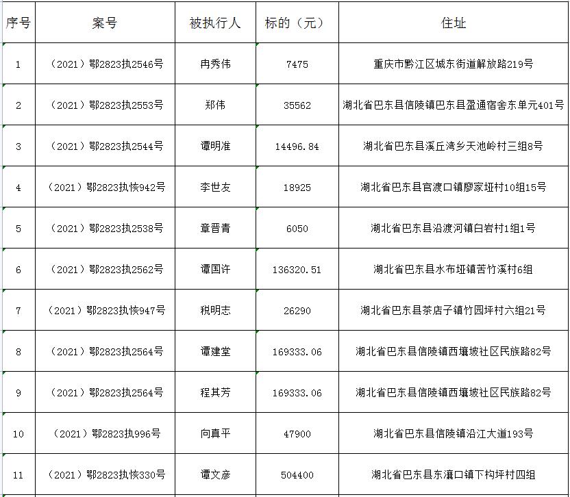 巴东510案件图片