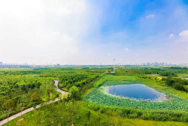 津南绿屏辛庄湾林田水草复合型生态区.