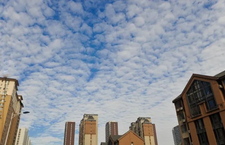 云游鞍山美丽鱼鳞云