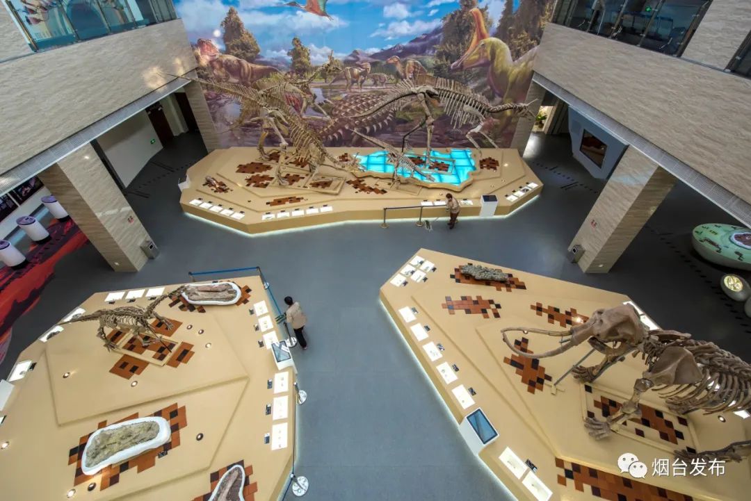 烟台的中国之最莱阳新中国第一具完整的恐龙化石发掘地