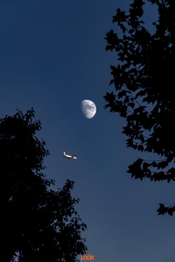 look征集你拍到的月亮