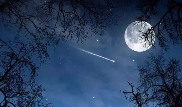 发现上海今晚皓月当空适合赏月朋友圈摄影大赛即将开始你准备好了吗