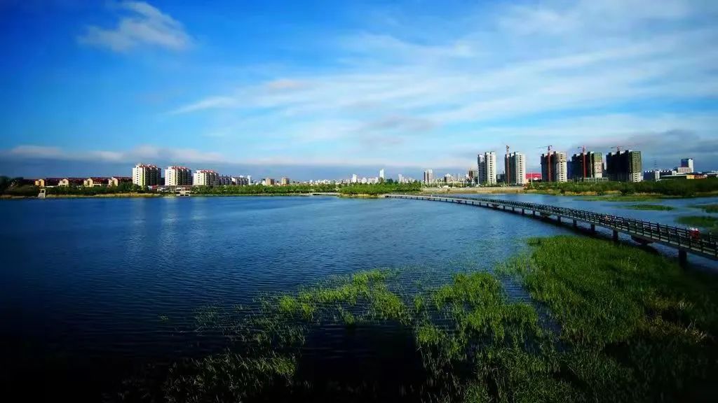 众志成城莱州更美