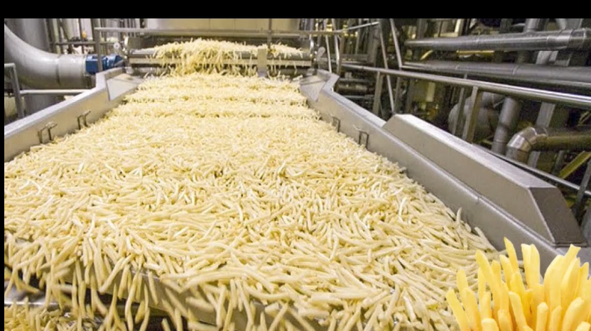 带你去工厂麦当劳的炸薯条是如何制作的