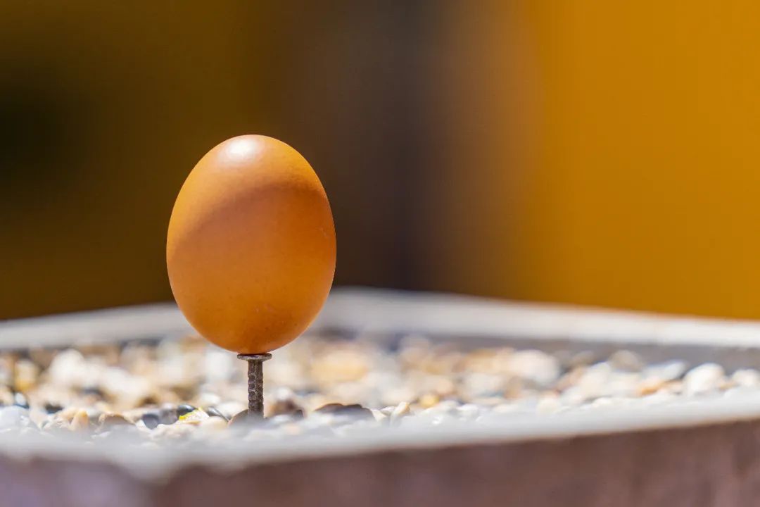 秋分至,莫负好时光_澎湃号·媒体_澎湃新闻-the paper