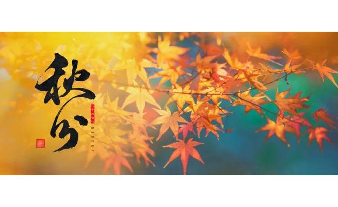 澎湃新闻 专注时政与思想 thepaper.cn