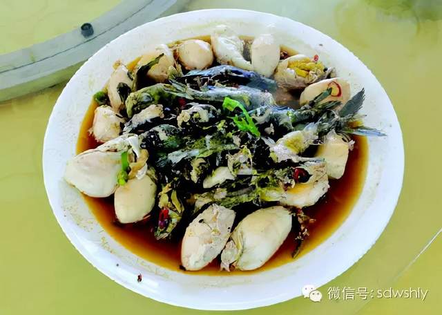 鮯鱼下蛋湖中嫩莲人们便给微山湖的鱼宴编了几句顺口溜:"要说去吃饭