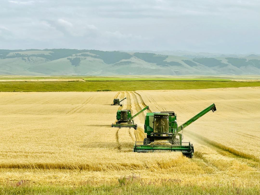 多图!这个秋天满眼都是幸福 |丰收节快乐