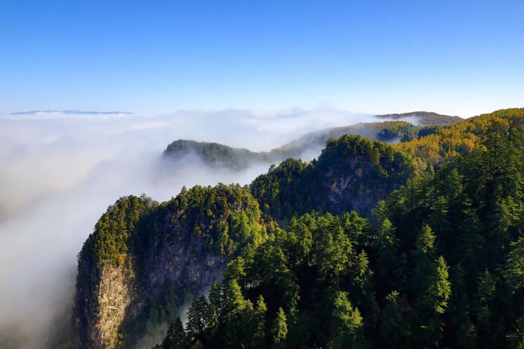 漳縣貴清山