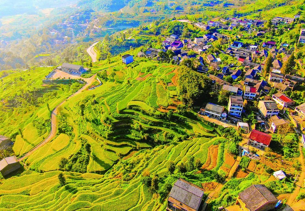 一起打开台州丰收的画卷