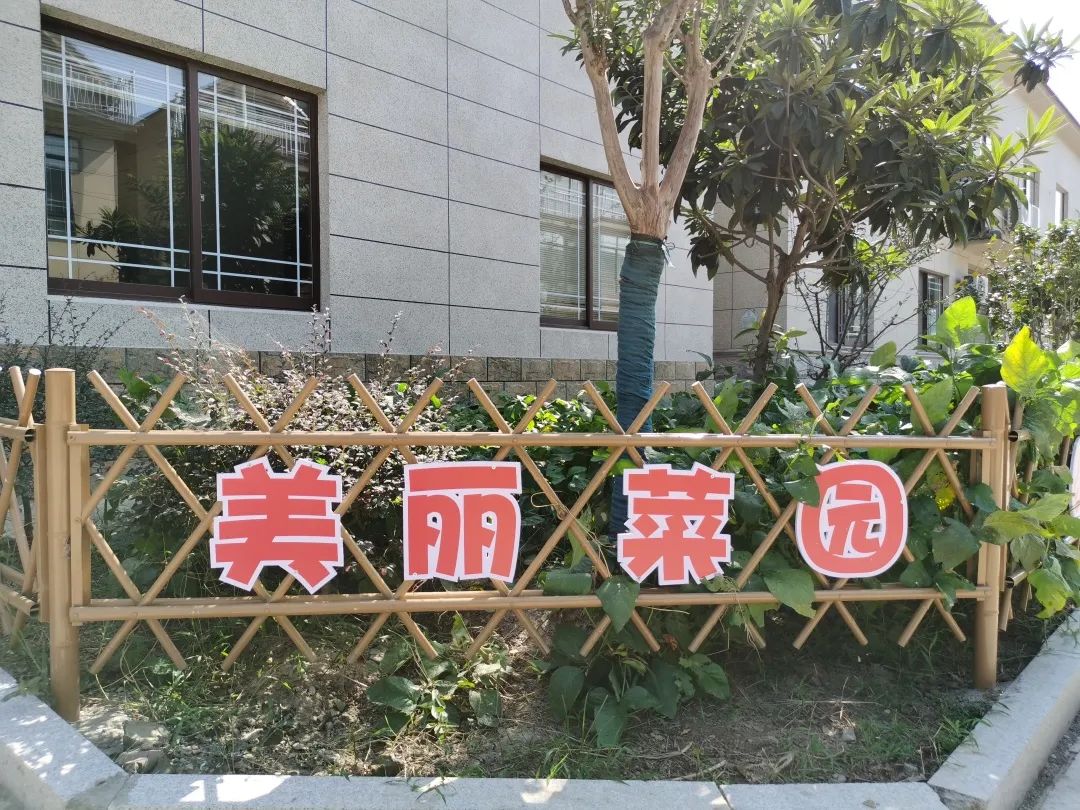 钟管村众和苑二期每家每户通过"前院是美丽庭院,后院是美丽菜园"的