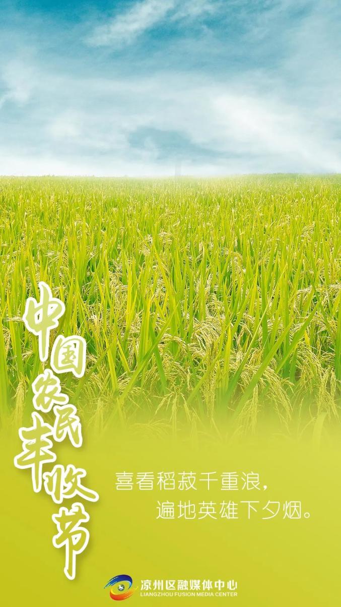 微海报喜看稻菽千重浪遍地英雄下夕烟凉州区庆祝2021年中国农民丰收节