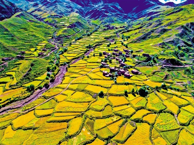 洛隆县各乡镇的农牧民群众:载歌载舞 共庆丰收