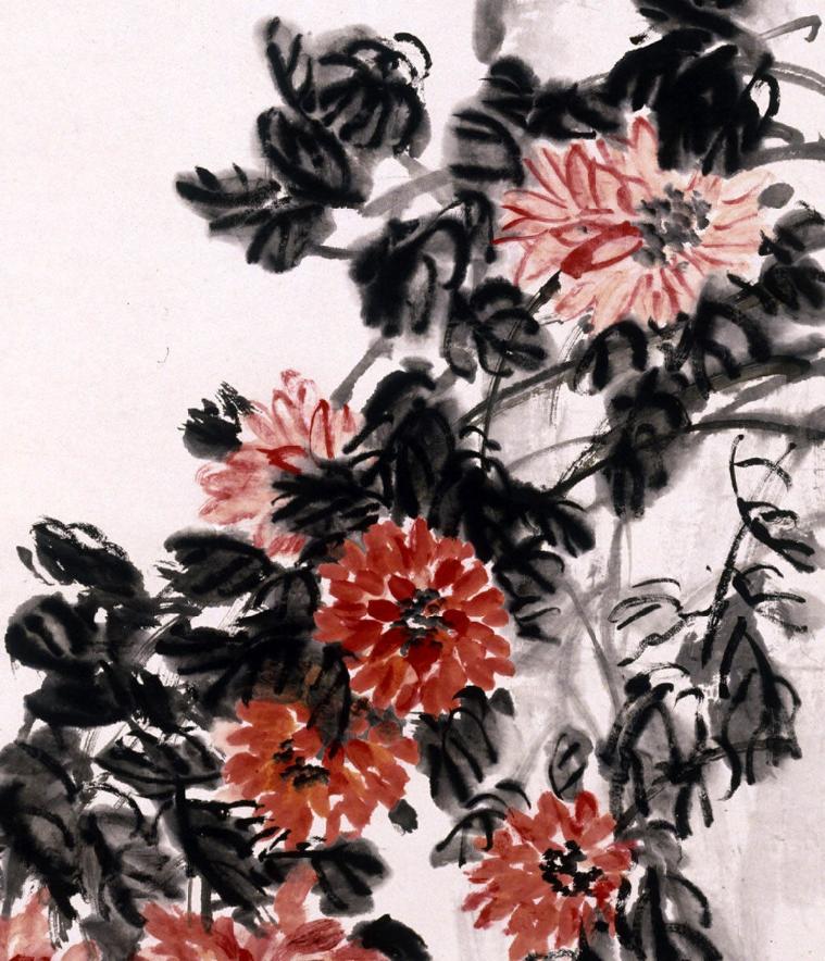 秋花大放送 九月飘香的可不只是金桂