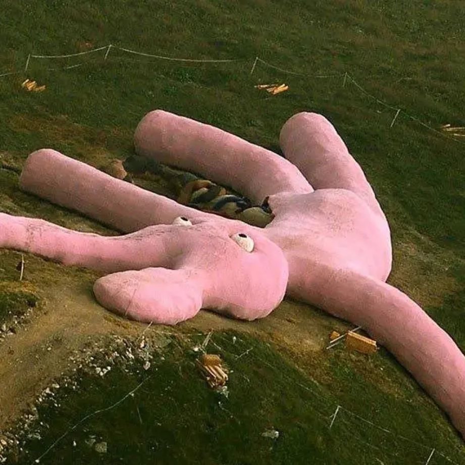 那些巨大的沉默物体让你着迷还是恐惧