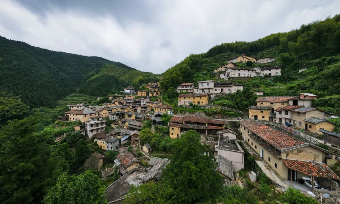 丽水计划创建600个花园乡村其中精品花园乡村150个