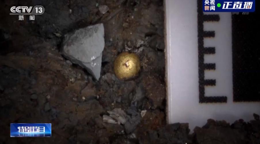 5号坑中新挖出的小金珠，含金量已经达到99%。来源/央视新闻