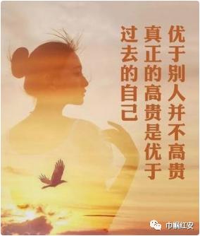 努力提升自己比仰望别人更有意义