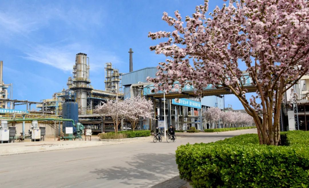 沧州晚报专刊报道沧州炼化公司攻坚克难实现跨越式发展