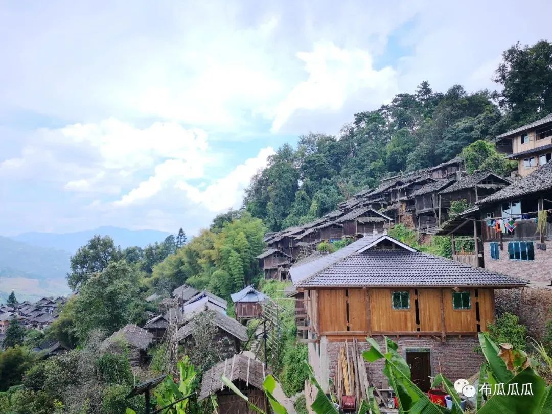 岜沙村图片