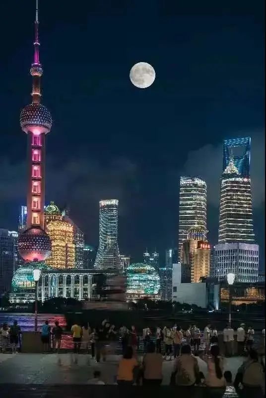 中秋月夜美图来啦快来共赏花好月圆