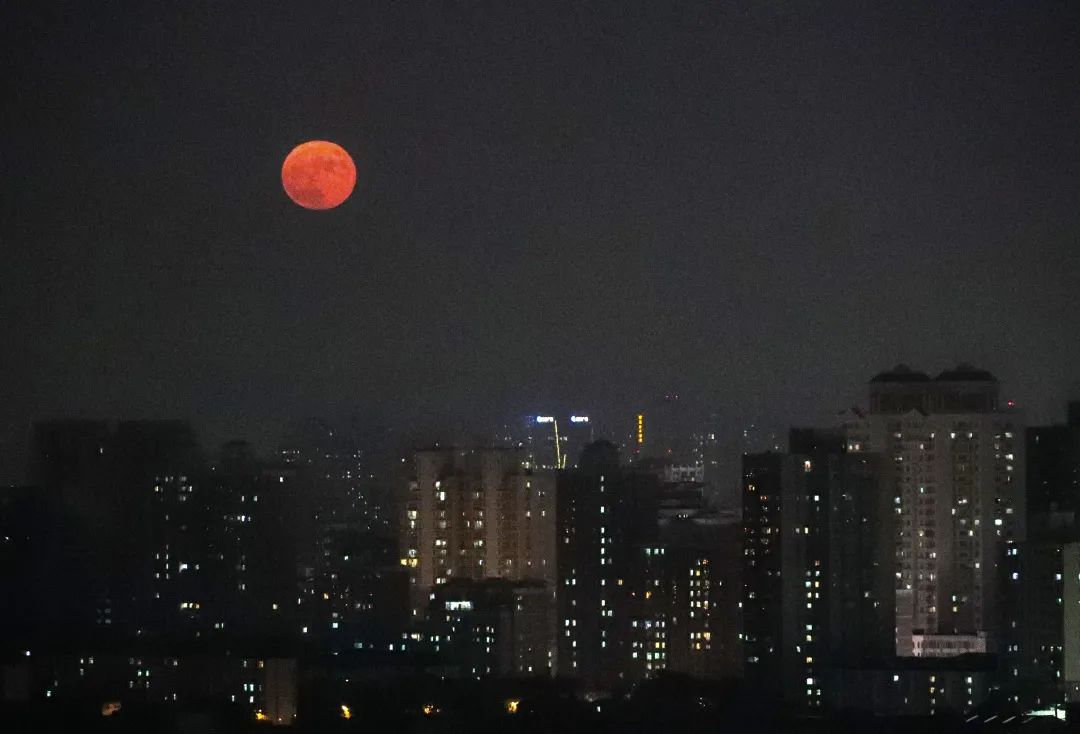 中秋月夜美图来啦快来共赏花好月圆