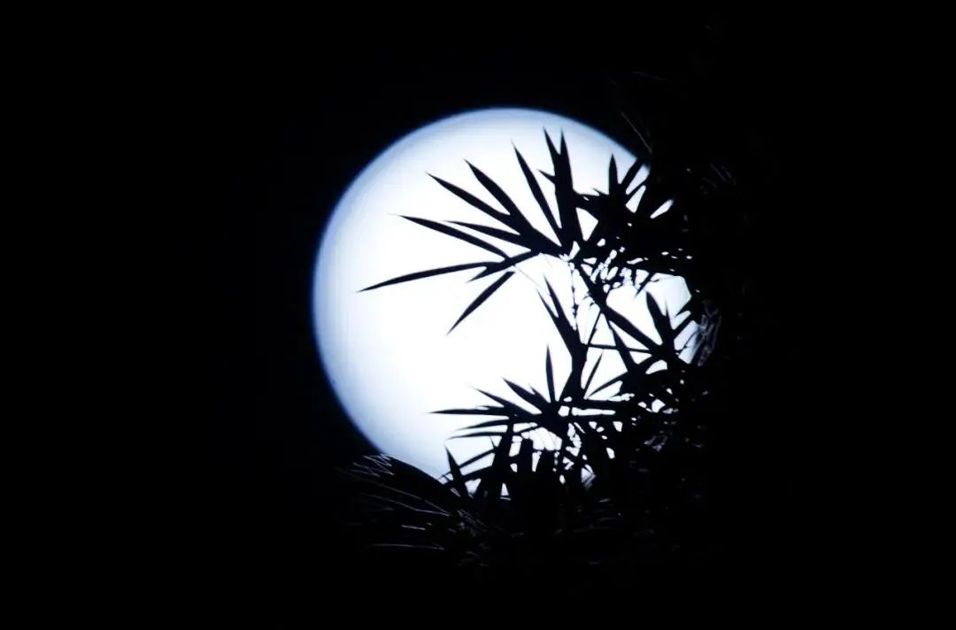 中秋月夜美图来啦快来共赏花好月圆